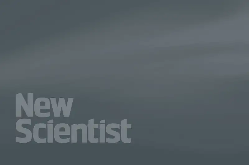 New Scientist Default Image